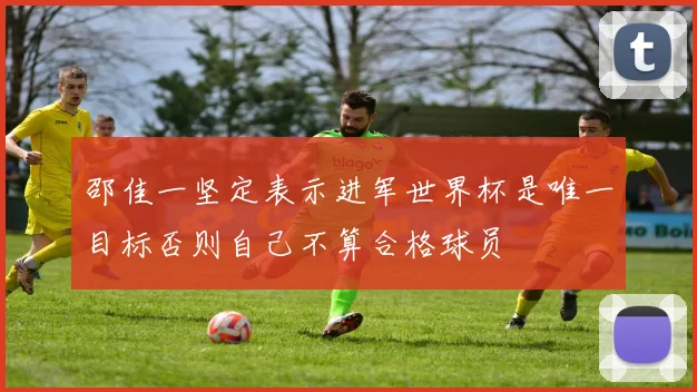 邵佳一坚定表示进军世界杯是唯一目标否则自己不算合格球员