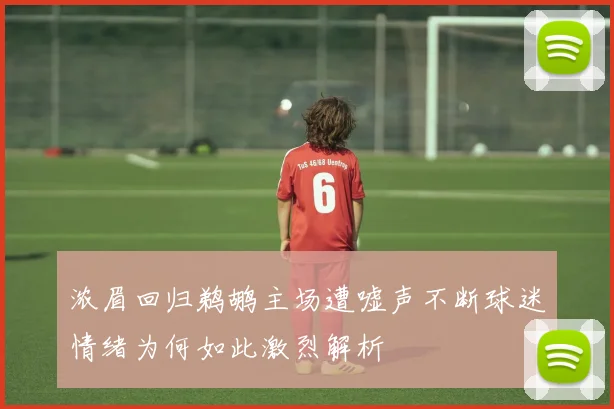 浓眉回归鹈鹕主场遭嘘声不断球迷情绪为何如此激烈解析