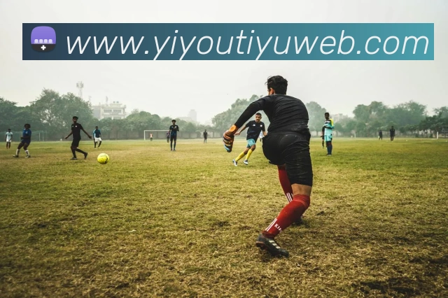 易游体育平台生态图