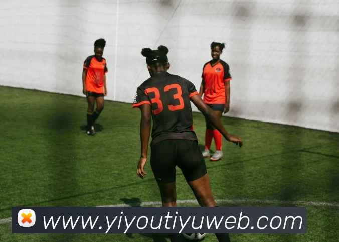 易游体育APP 封面图